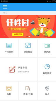 任性，是生活中的一種錯位的善意